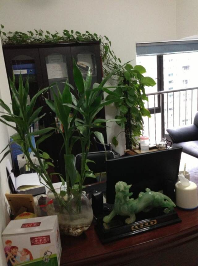 图片1_副本.png 图片1_副本.png