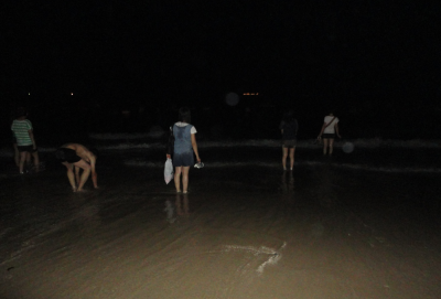 图片4_副本.png 图片4_副本.png